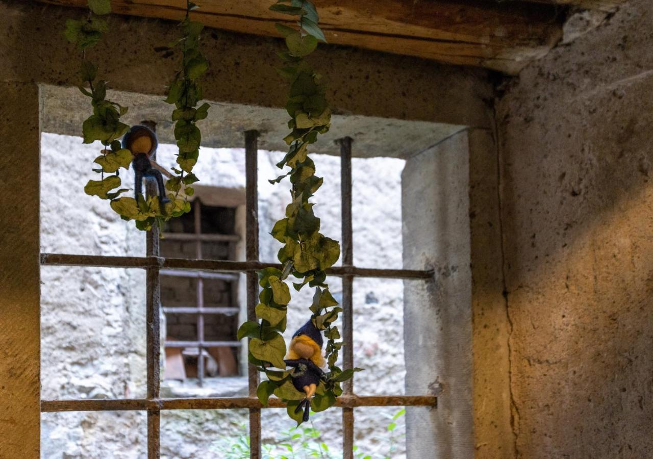 Ambrosia Huesli Hostel Rheinfelden Εξωτερικό φωτογραφία